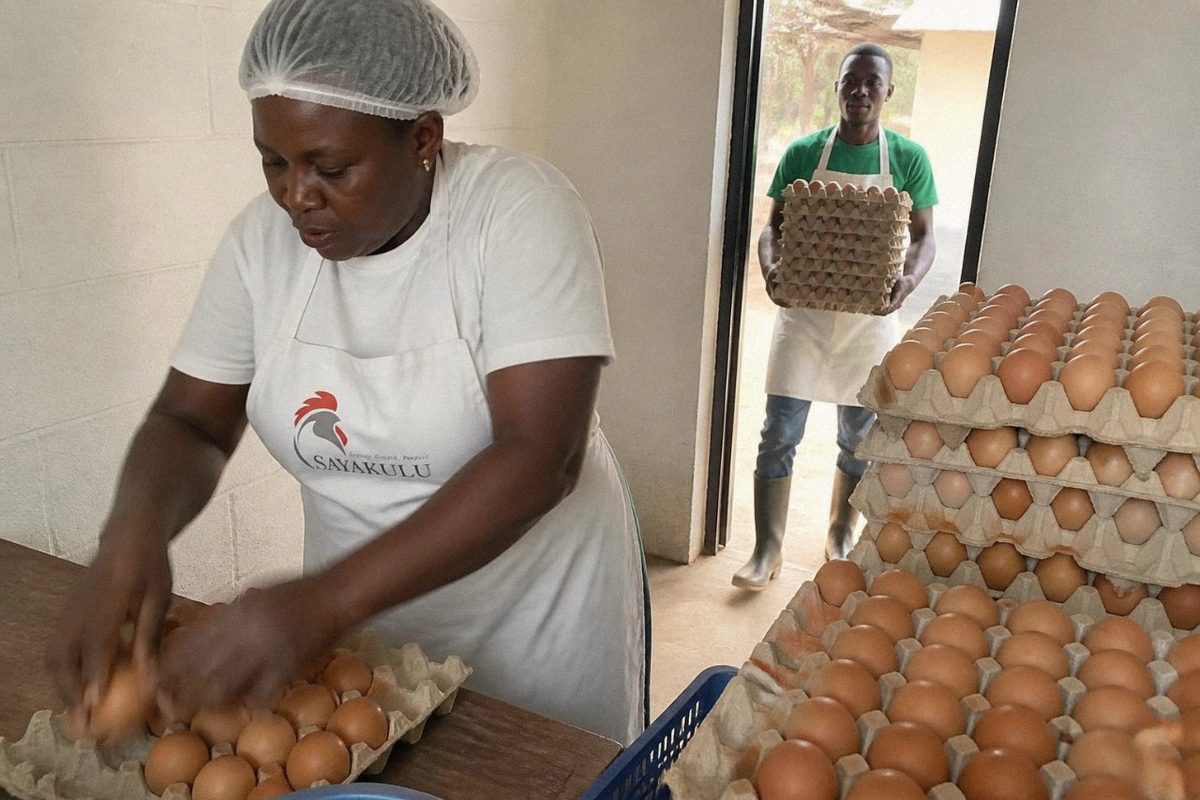 Illustration of a woman in a white Sayakulu apron packing eggs into crates