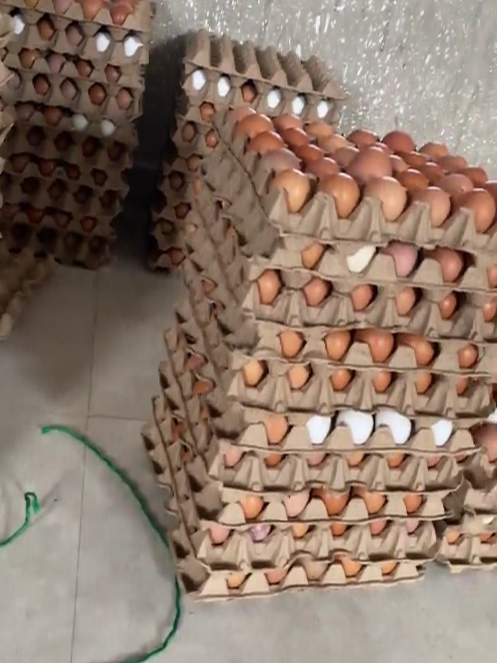 Stacked crates of brown eggs at the farm